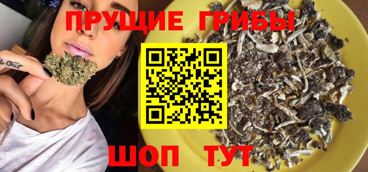 Псилоцибиновые грибы мицелий Ярославль