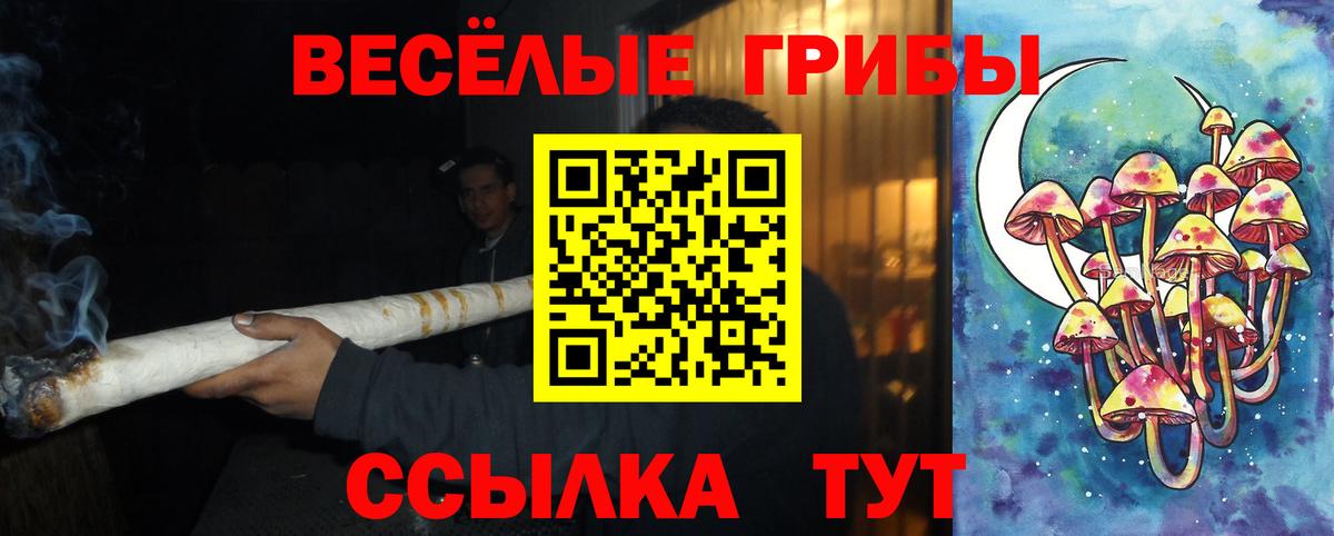 Ярославль  Галлюциногенные грибы Psilocybe  Вход с VPN 